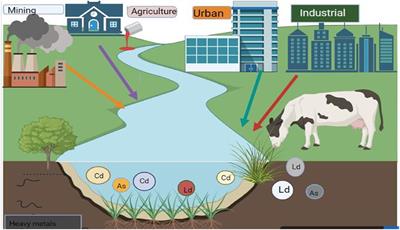 A review of important heavy metals toxicity with special emphasis on nephrotoxicity and its management in cattle